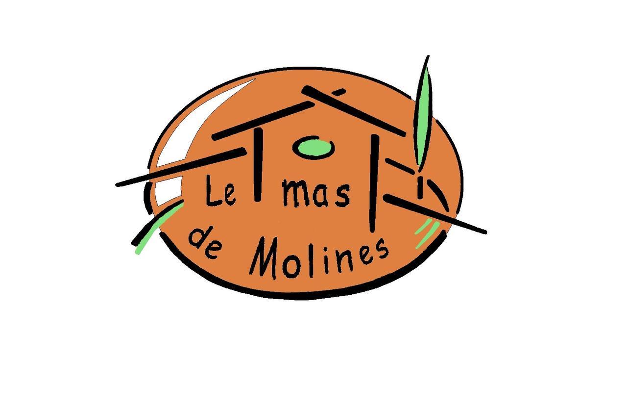 Gite Le Mas De Molines Воґ Екстер'єр фото